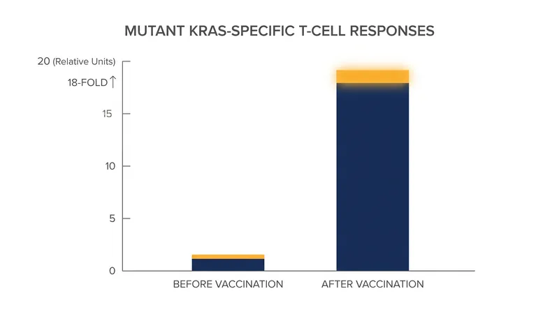 Vaccinated patients saw a median 18.2-fold increase in targeted T-cell responses.