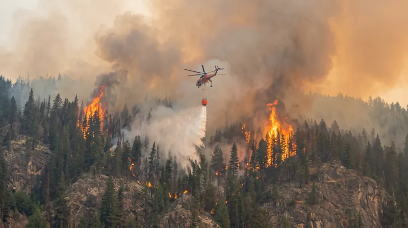 Aviation units, including night-vision helicopters, were deployed to rescue trapped residents and combat the flames from above.