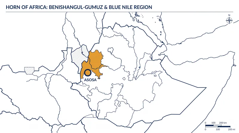 The reported training facility is strategically located near the intersection of Ethiopia, Sudan, and South Sudan.