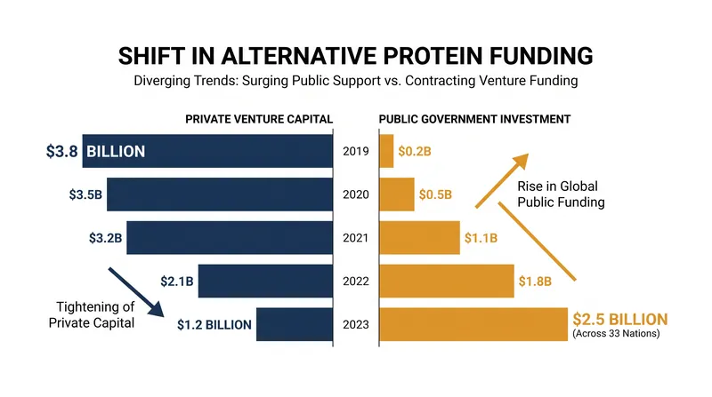 Public investment in alternative proteins has accelerated as governments prioritize food security.
