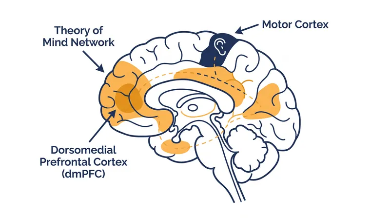 The neural networks activated by reading fiction heavily overlap with the networks used for real-world social cognition.