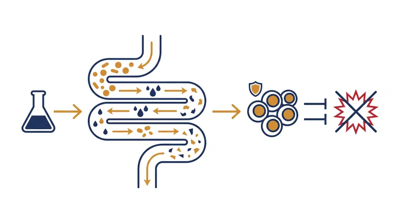 How beneficial gut bacteria metabolize bile acids to stimulate regulatory T-cells, teaching the immune system to tolerate food proteins.