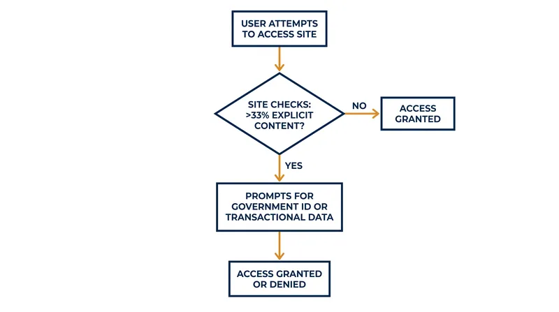 How the Texas age-verification mandate operates for commercial adult websites.