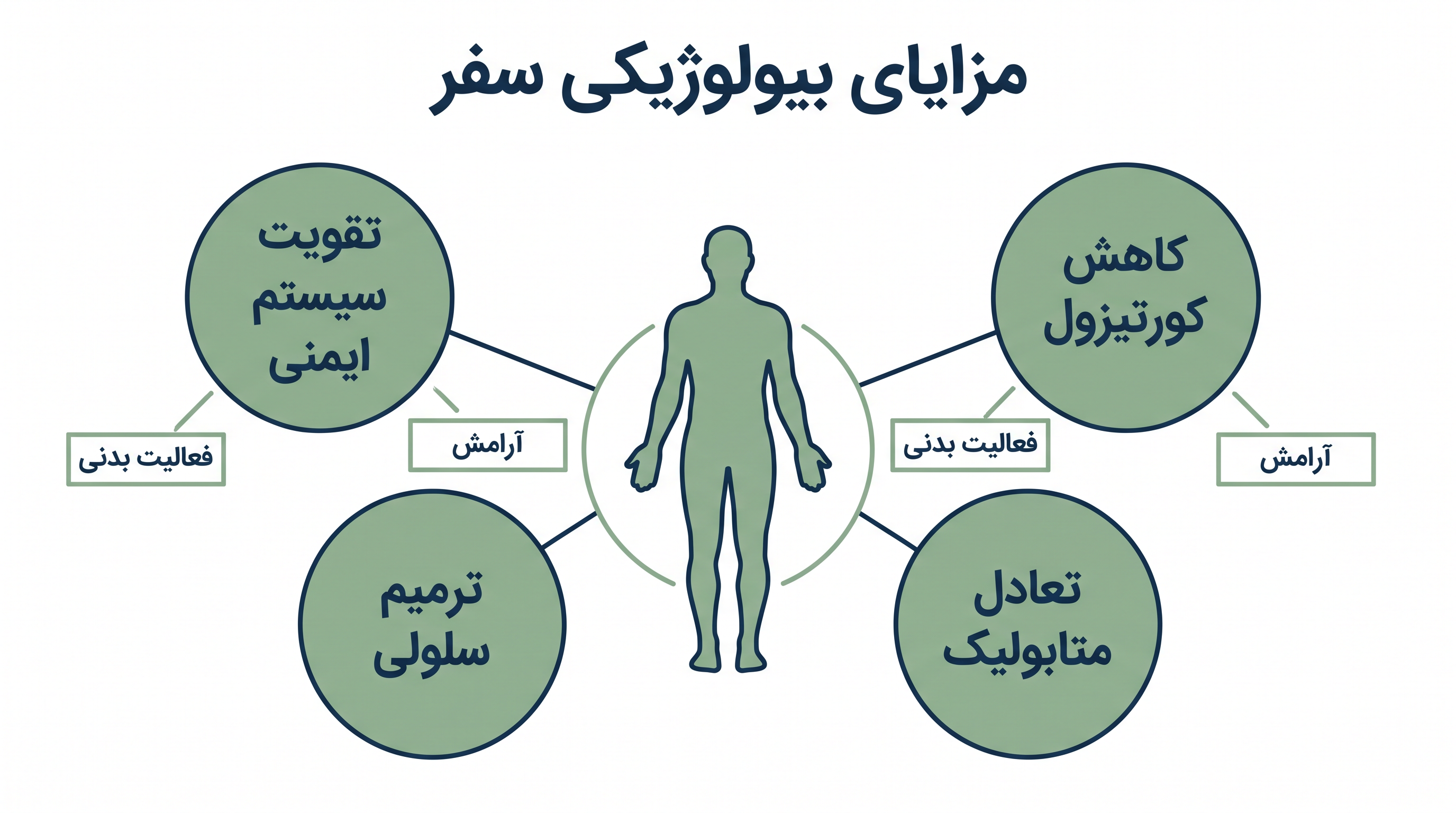 تجربیات مثبت سفر باعث ایجاد آبشاری از واکنش‌های فیزیولوژیک می‌شوند که مکانیسم‌های خودترمیمی بدن را تقویت می‌کنند.