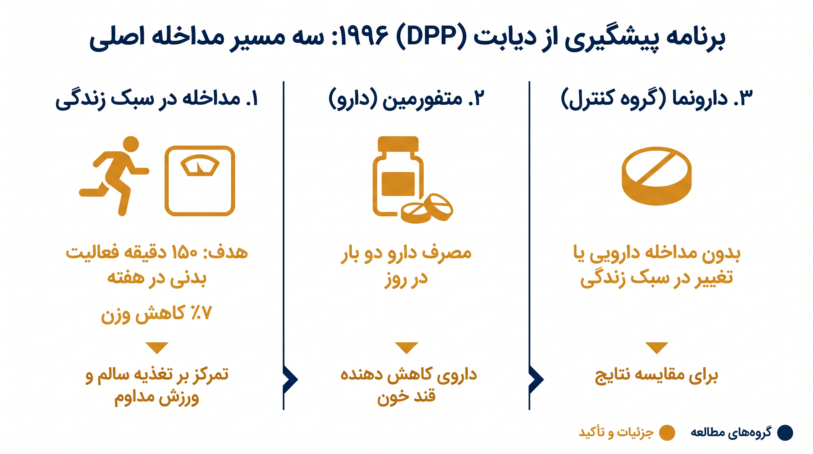 برنامه اصلی پیشگیری از دیابت، شرکت‌کنندگان را به سه مسیر متمایز تقسیم کرد تا نتایج بلندمدت را اندازه‌گیری کند.