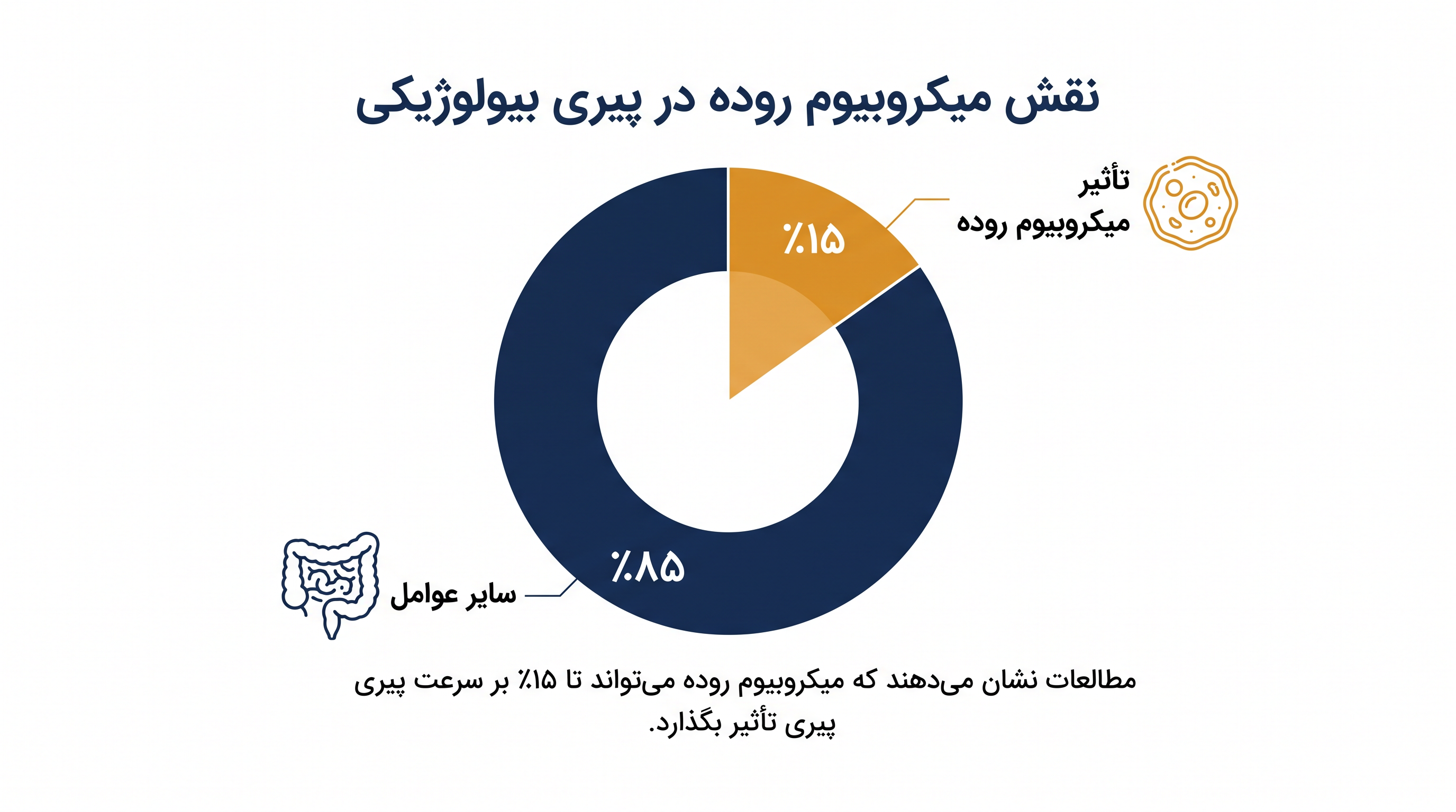 تغییرات در ترکیب باکتریایی روده، ۱۵٪ از تفاوت در سرعت پیری بیولوژیکی را تشکیل می‌دهد.