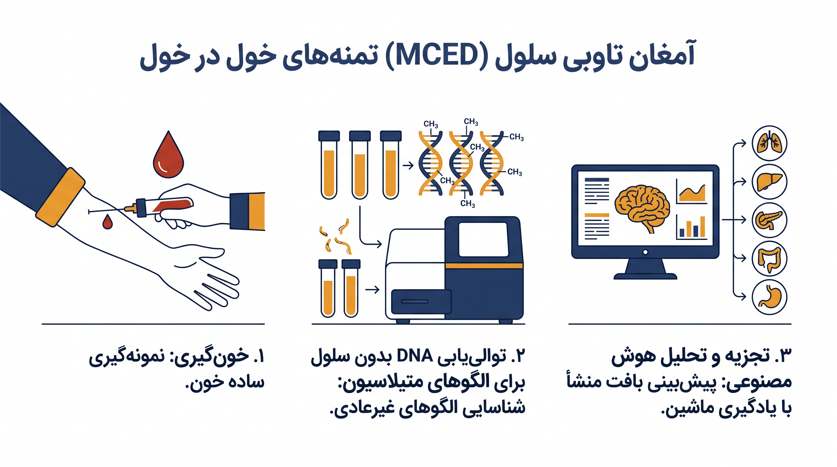 تست‌های MCED قطعات DNA تومور در گردش خون را تجزیه و تحلیل می‌کنند تا وجود و منشأ سرطان را شناسایی کنند.