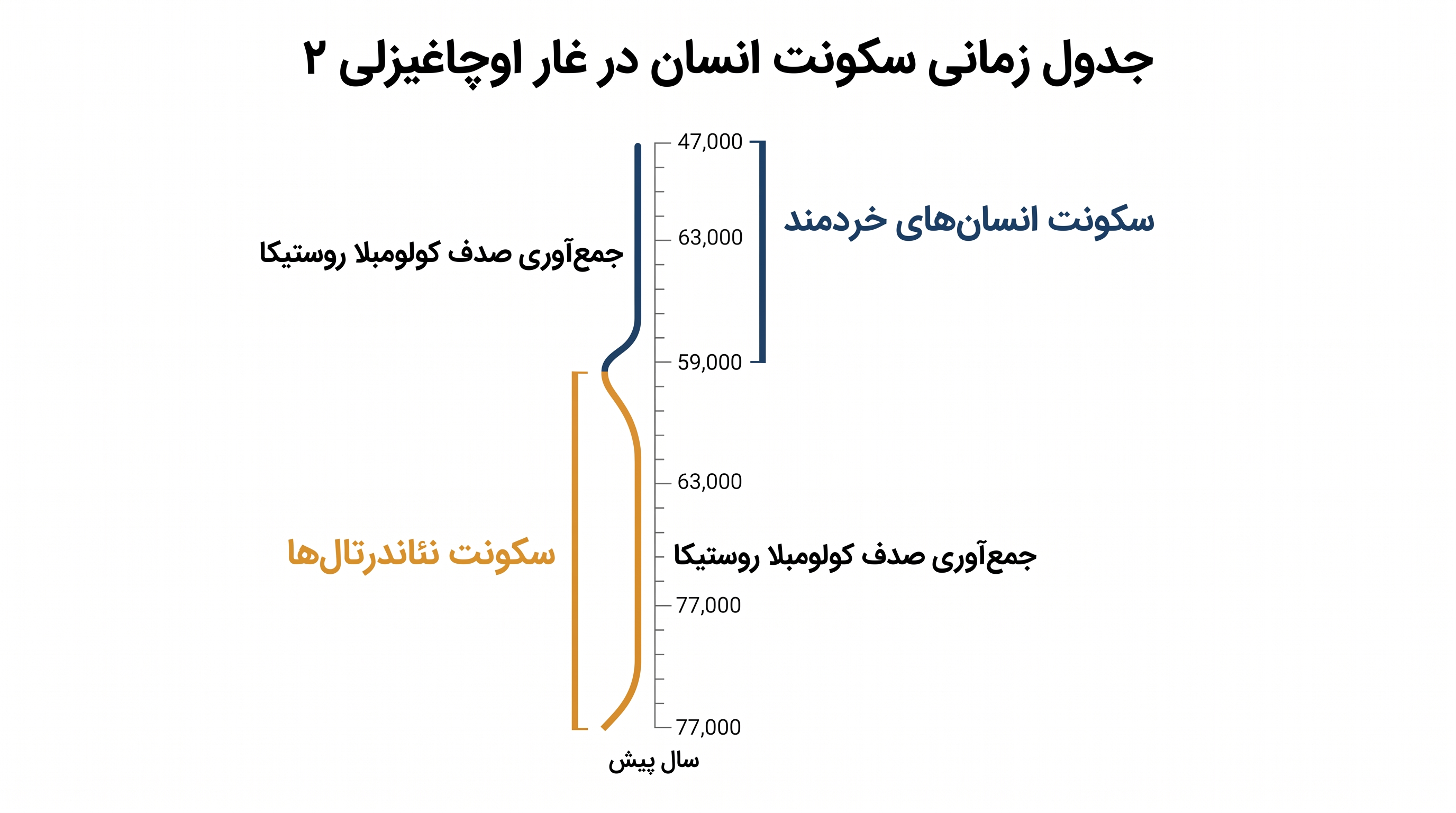 تغییر و تحول بیولوژیکی در غار، سنت فرهنگی جمعآوری صدف را مختل نکرد.