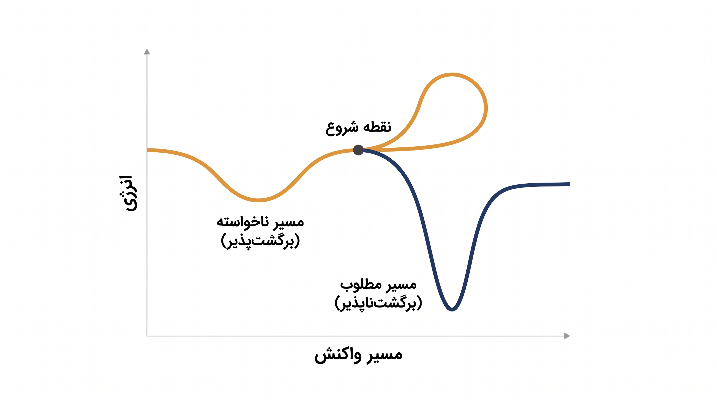 انتخاب‌پذیری به این دلیل پدیدار می‌شود که انتقال‌های الکترونی ناخواسته بسیار برگشت‌پذیر هستند، در حالی که واکنش مطلوب دائمی است.