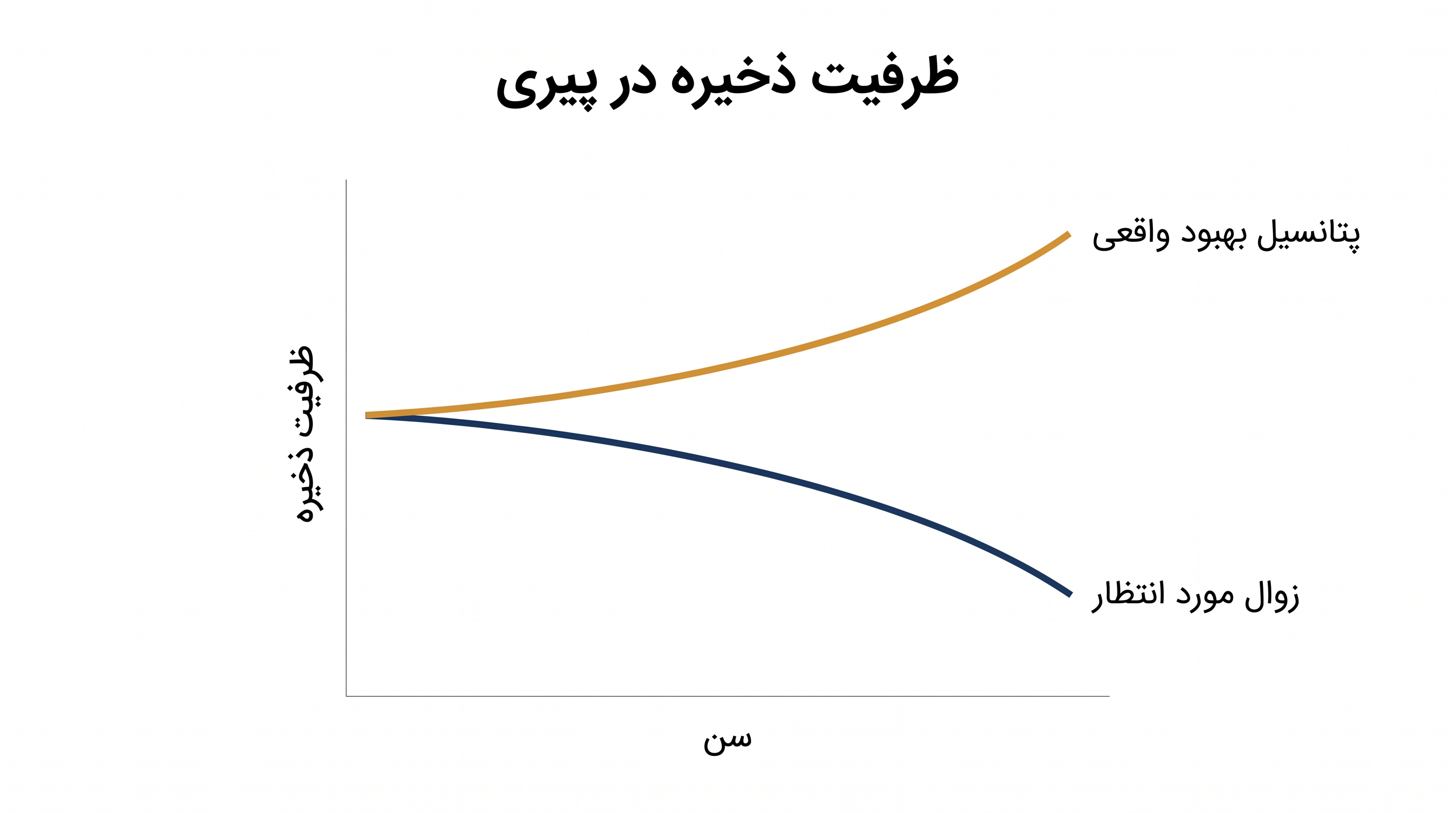 مفهوم «ظرفیت ذخیره» نشان میدهد که بدن پیر، توانایی پنهانی برای التیام و سازگاری را حفظ میکند، زمانی که توسط یک محیط روانی مثبت حمایت شود.