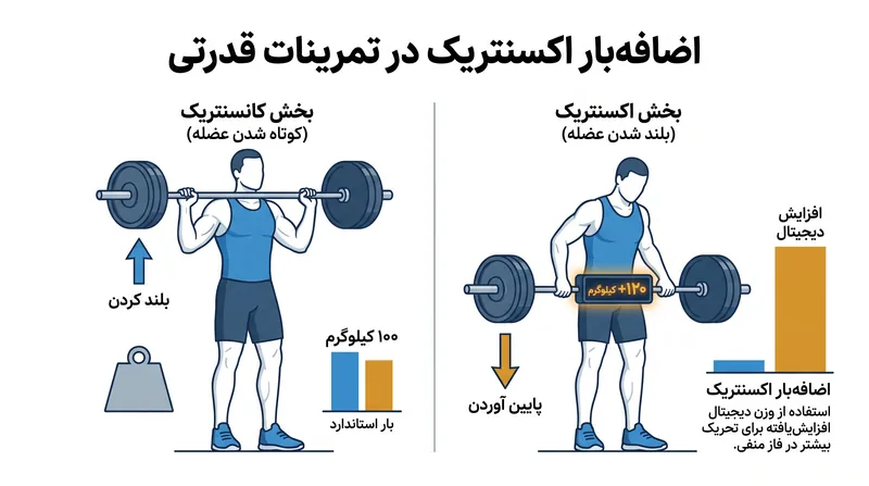 اضافه‌بار اکسنتریک به طور پویا مقاومت را در طول فاز پایین آوردن وزنه افزایش می‌دهد و کشش عضلانی را به حداکثر می‌رساند.