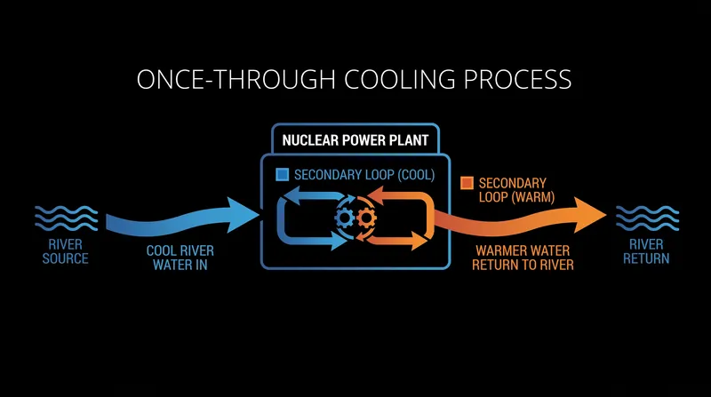 Once-through cooling systems require massive volumes of continuous river flow to maintain thermal balance.