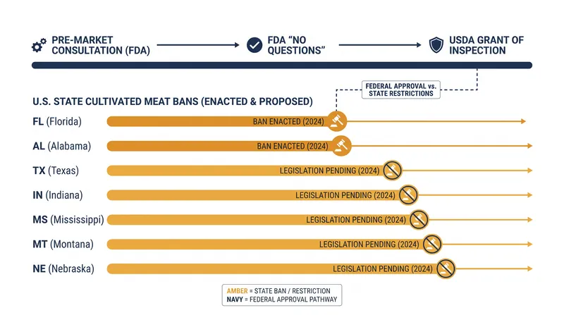 Seven U.S. states have enacted bans on cultivated meat, creating a fragmented regulatory landscape.