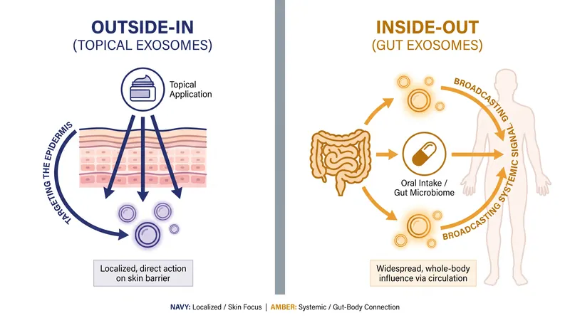The paradigm shift from topical surface repair to systemic internal rejuvenation.