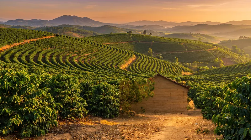 AI mapping is helping regions like Vietnam's Central Highlands monitor and prevent deforestation.