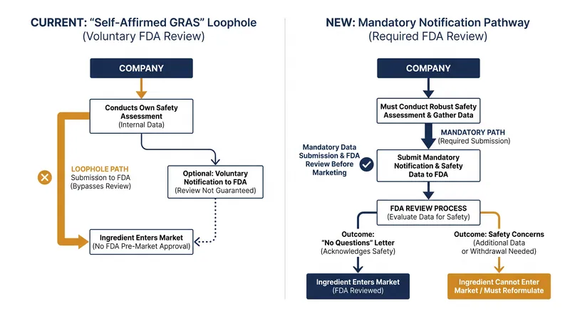 How the proposed mandatory notification system changes the pathway for new food ingredients.