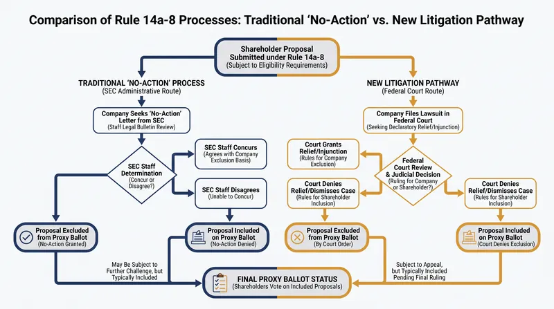 How corporate governance disputes move from administrative channels to federal courts.
