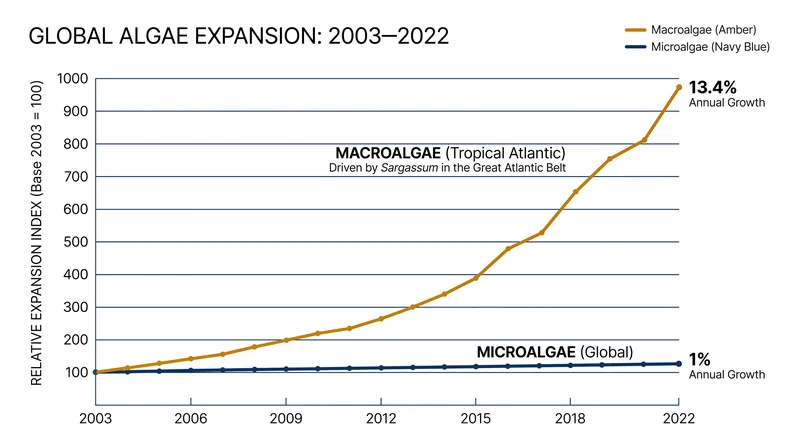 AI analysis reveals a sharp divergence in growth rates, with macroalgae expanding rapidly after 2008.