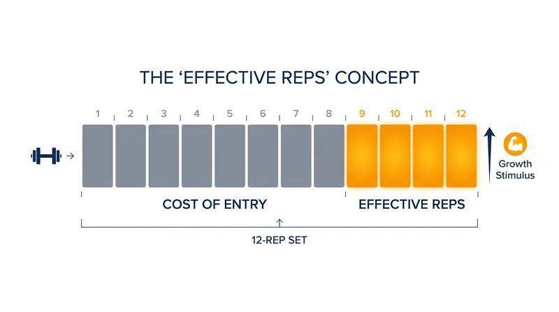 Only the final repetitions of a set, performed close to failure, recruit the high-threshold motor units necessary for muscle growth.