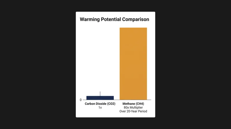 Methane traps roughly 80 times more heat than carbon dioxide over a 20-year period, making it a critical target for near-term climate action.