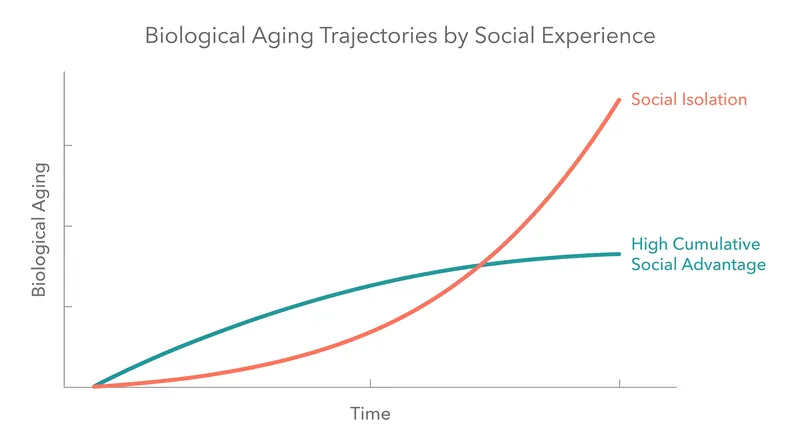 The compounding benefits of cumulative social advantage over a lifespan.