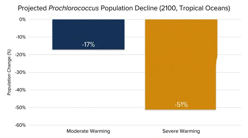 Ecosystem models project up to a 51% decline in tropical populations under high-emissions scenarios.
