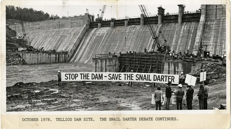 The Tellico Dam controversy in the 1970s led Congress to create the Endangered Species Committee.