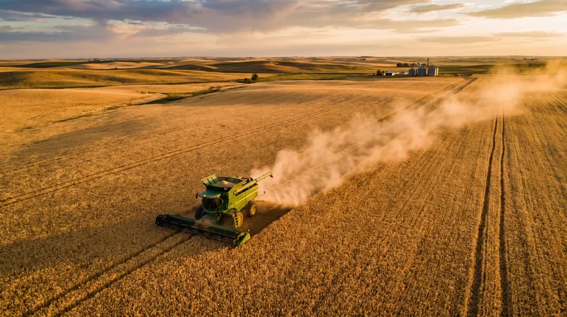 Global wheat production covers over 540 million acres worldwide, forming the foundation of the international grain trade.