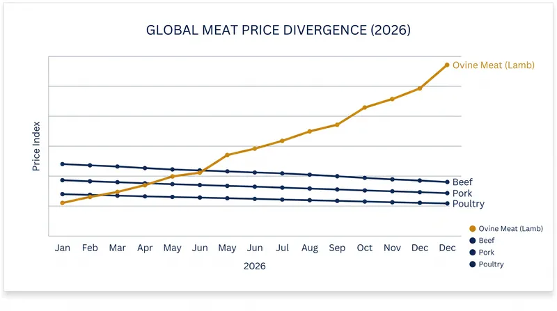 While other major proteins saw price declines in mid-2026, lamb prices surged to new historic highs.