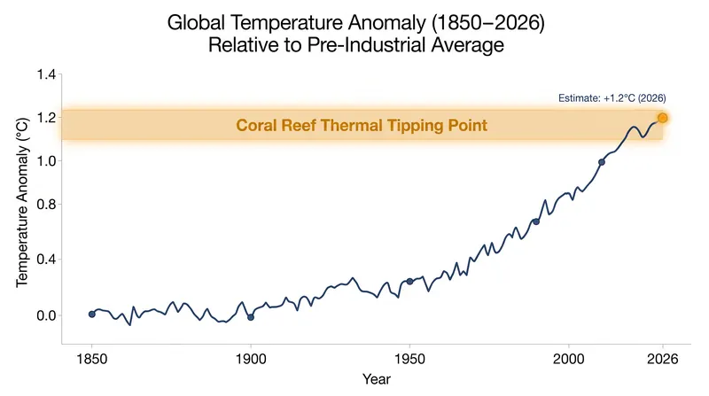 Global temperatures have surpassed the 1.2°C threshold identified as the tipping point for warm-water reefs.