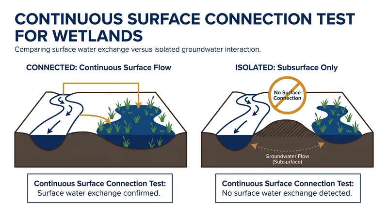 Under the new framework, wetlands must physically abut a relatively permanent body of water to receive federal protection.