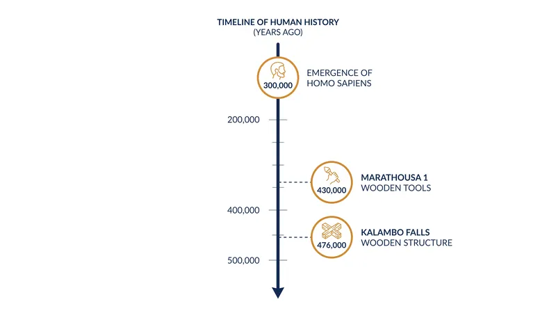 Both the Greek and Zambian woodworking discoveries significantly predate the emergence of anatomically modern humans.