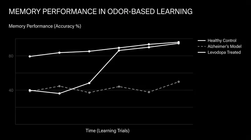 Treatment with Levodopa completely rescued associative memory performance in preclinical models.