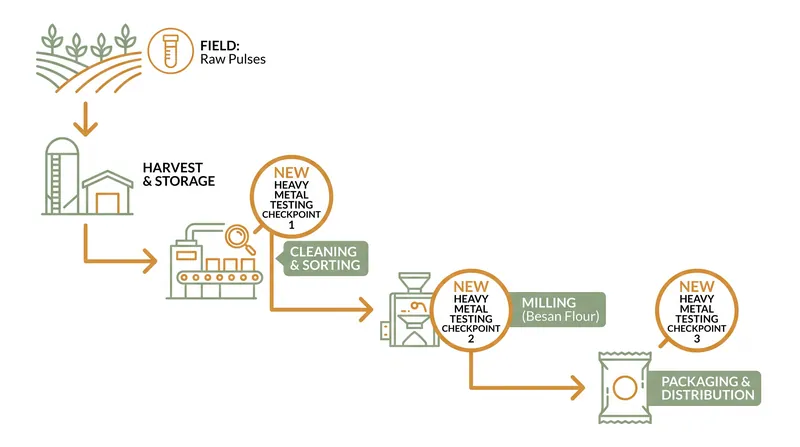 Heavy metal limits for lead and cadmium will now explicitly apply to processed pulse flours.