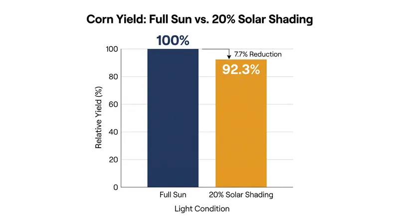 Purdue University research demonstrates that even sun-intensive crops like corn suffer minimal yield reductions under partial solar shading.