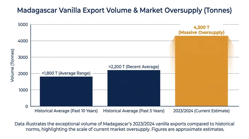 Despite record export volumes, the market remains heavily oversupplied heading into the 2026 harvest.