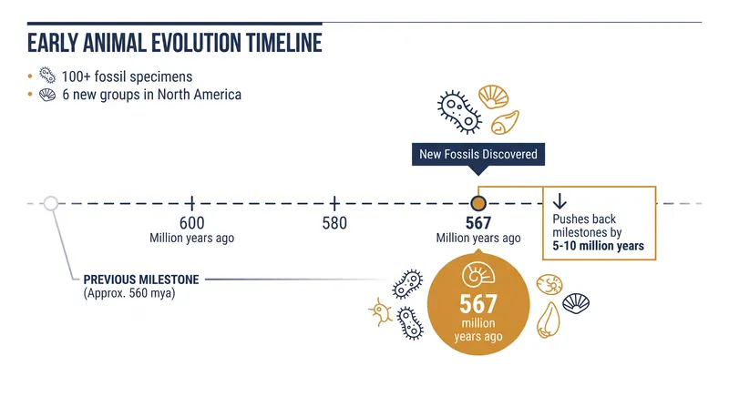 The Mackenzie Mountains discovery pushes back the timeline for key evolutionary milestones by up to 10 million years.