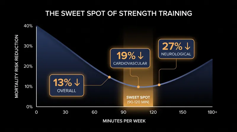 The longevity benefits of strength training hit a hard plateau at the two-hour mark.