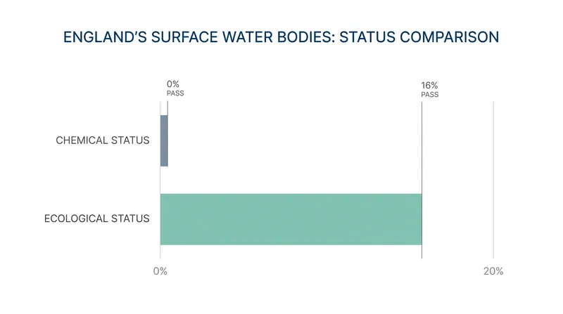 Ecological status, which measures the biological health of the river, remains a more pressing active concern than the chemical status.