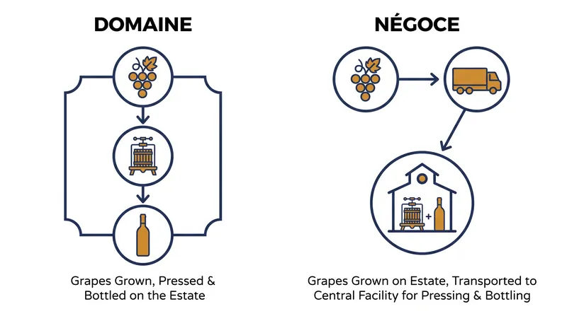 The legal distinction centers on where the grapes are pressed and vinified, not just where they are grown.