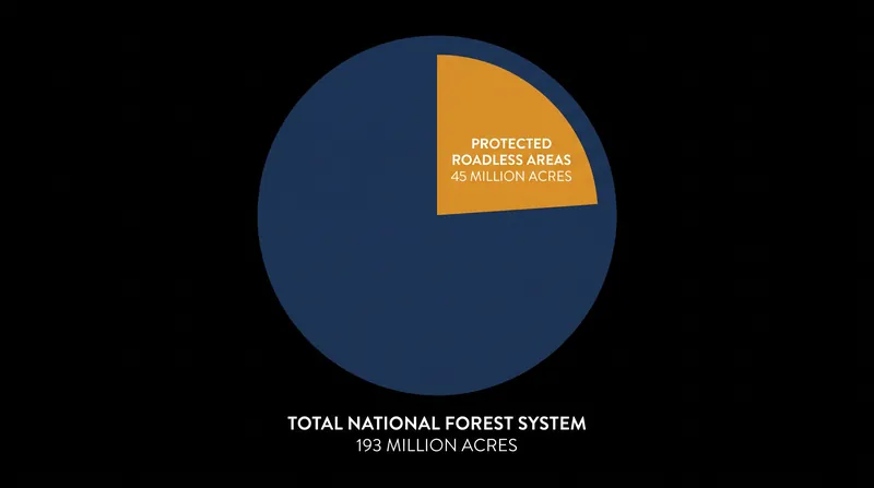 Roughly one-third of the National Forest System is currently governed by the 2001 Roadless Area Conservation Rule.