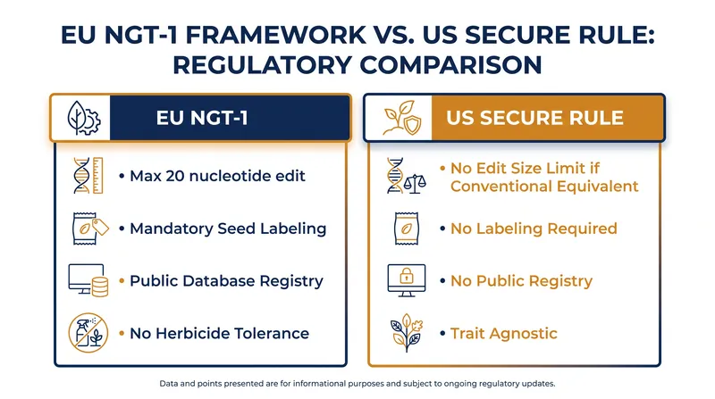 A side-by-side comparison of the compliance requirements for simple gene edits in the EU and US.