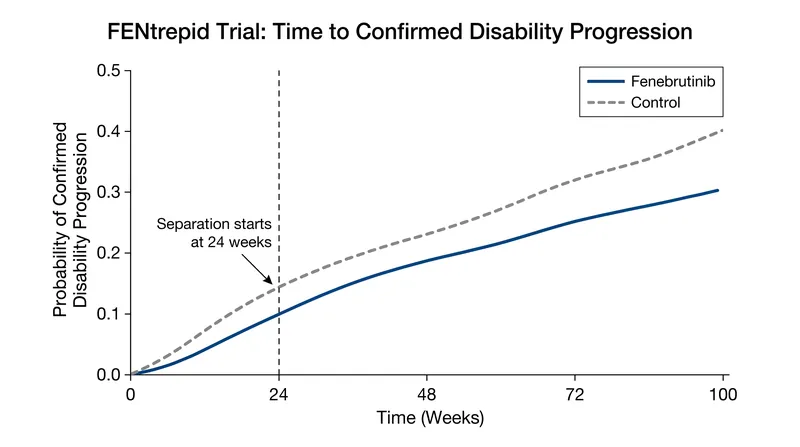 In the FENtrepid trial, patients taking fenebrutinib showed a lower risk of disability progression starting as early as 24 weeks.
