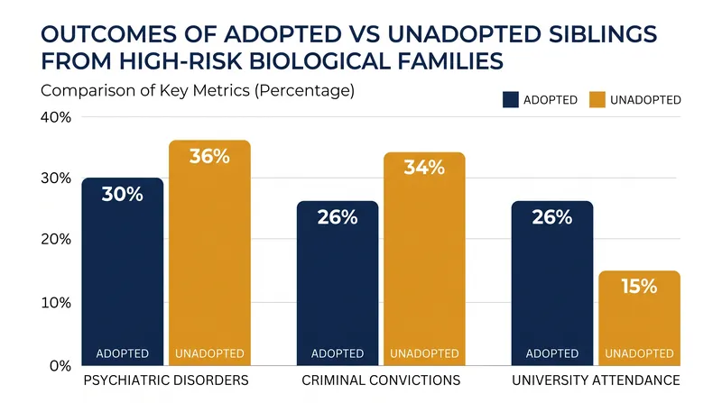 Adopted siblings showed markedly improved psychosocial and educational outcomes compared to those who remained in high-risk biological homes.