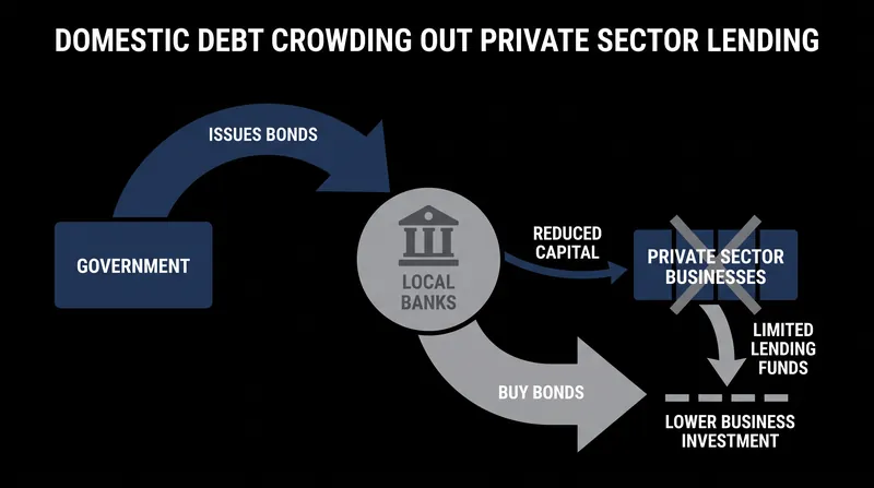 As governments turn to domestic borrowing, local banks often prioritize sovereign bonds over private-sector loans.