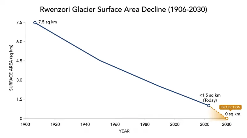 The Rwenzori glaciers have lost over 80 percent of their surface area since 1906 and are projected to vanish entirely within a decade.