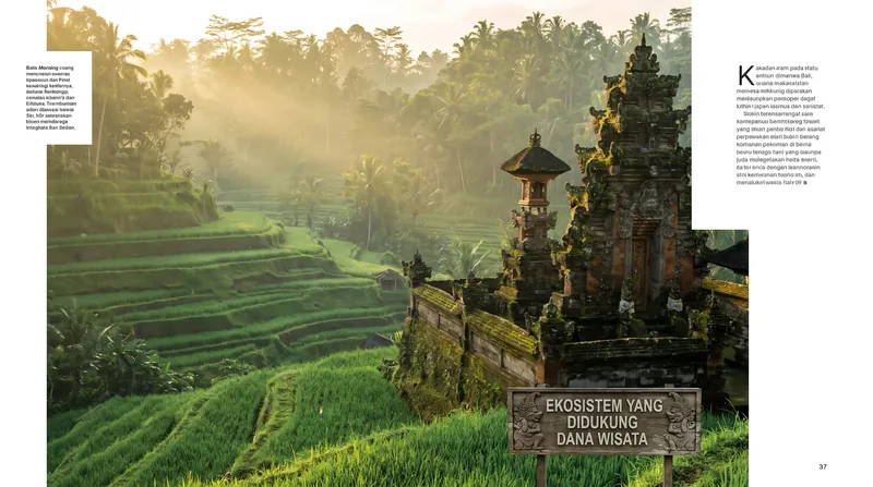 Bali's mandatory entry levy is designed to capitalize a provincial fund dedicated to protecting the island's fragile ecosystems.