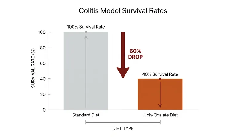 In laboratory models, high-oxalate diets significantly worsened outcomes for subjects with active colitis.