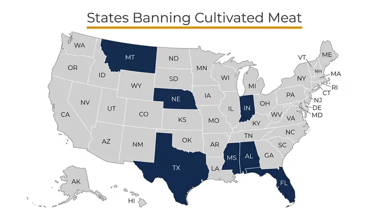 By late 2025, a coalition of states had enacted prohibitions on the sale or manufacture of cell-cultured meat.