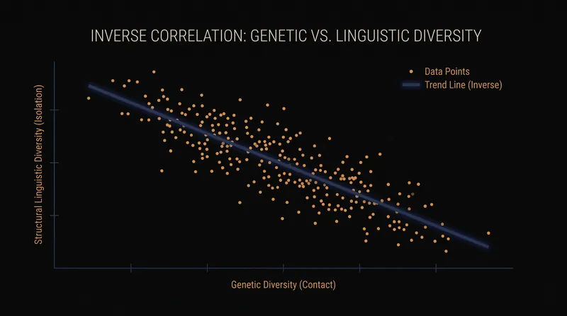 Global data reveals a robust inverse correlation: as genetic diversity increases through contact, structural linguistic diversity falls.